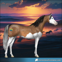 Horse Color:Gray Amber Champagne Splash 