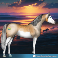 Horse Color:Gray Amber Cream Champagne Splash 