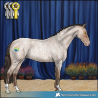 Horse Color:Sable Champagne Roan Rabicano