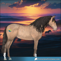 Horse Color:Amber Champagne Rabicano 