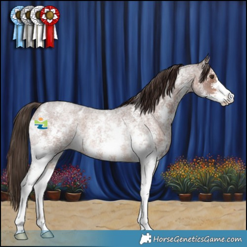 Horse Color:Liver Red Roan Sabino Rabicano 