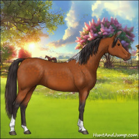 Horse Color:Buckskin Tobiano 