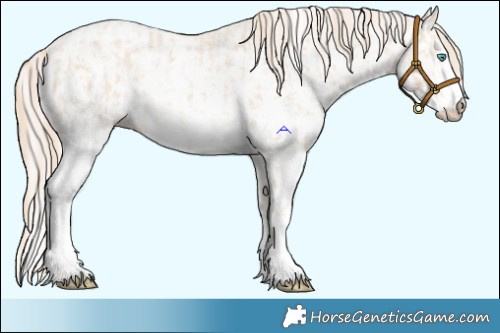 Horse Color:Perlino Sabino  and Perlino Sabino 