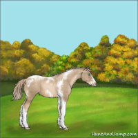 Horse Color:Chocolate Palomino Pearl Tobiano Frame  and Chocolate Palomino Pearl Tobiano Frame 