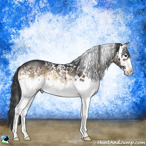 Horse Color:White Spotted Brown Onyx Sabino Brindle 