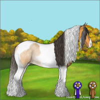 Horse Color:Buckskin Tobiano