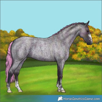 Horse Color:Watercolor Midnight Brown Ice Roan 