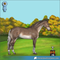 Horse Color:Silver Brown Dun Tobiano 