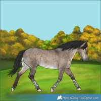 Horse Color:Brown Dun Tobiano 
