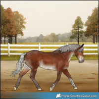 Horse Color:Silver Brown Tobiano 