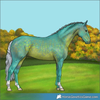 Horse Color:Watercolor Silver Brown 