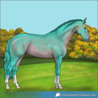 Horse Color:Watercolor Bay