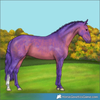 Horse Color:Watercolor Brown 