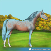 Horse Color:Watercolor Brown 