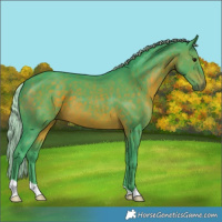 Horse Color:Watercolor Silver Brown 