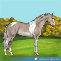 Horse Color:Liver Red Dun Mushroom Tobiano Brindle 