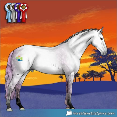 Horse Color:Gray Watercolor Liver Chestnut Ice 