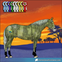 Horse Color:Watercolor Silver Classic Champagne Ice Sabino 