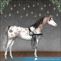 Horse Color:Bay Sabino Splash Blanket 