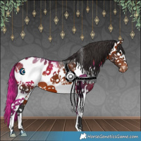Horse Color:Bay Sabino Splash Blanket 