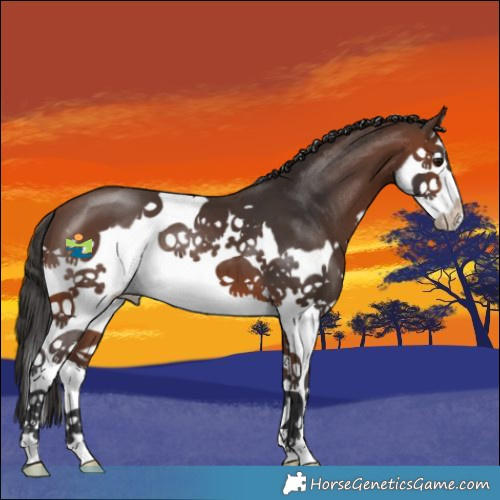 Horse Color:Brown Splash 
