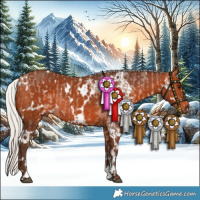 Horse Color:White Spotted Silver Brown Appaloosa Rabicano  and White Spotted Silver Bay Rabicano 