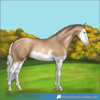 Horse Color:Chocolate Palomino Pearl Splash