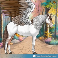 Horse Color:Classic Champagne Tobiano Appaloosa 