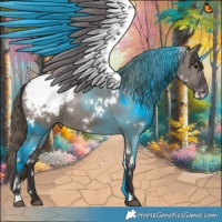 Horse Color:White Spotted Smoky Grullo Snowcap Rabicano 