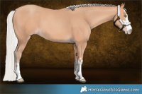 Horse Color:Silver Amber Champagne 