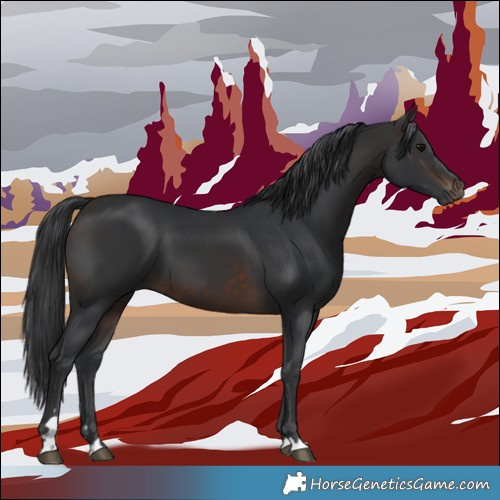 Horse Color:Brown 