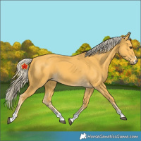 Horse Color:Unknown 