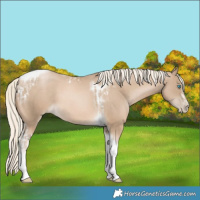Horse Color:Chocolate Palomino Pearl Tobiano Frame  and Chocolate Palomino Pearl Splash Tobiano Frame 