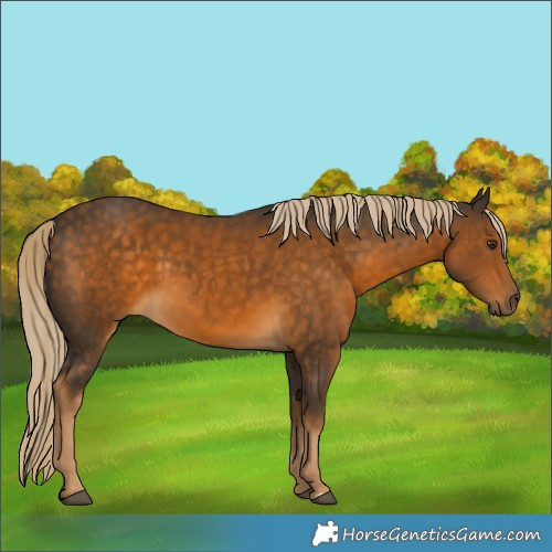 Horse Color:Chocolate Palomino