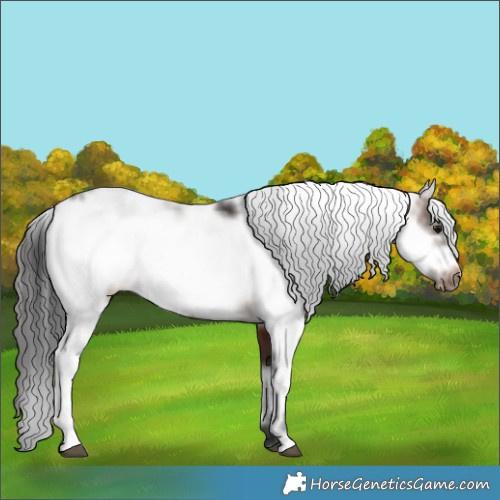 Horse Color:Brown Sabino Frame 