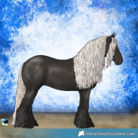 Horse Color:Liver Chestnut Mushroom Rabicano 