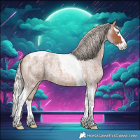 Horse Color:Silver Bay Roan Splash Tobiano 
