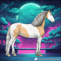 Horse Color:Silver Buckskin Splash Tobiano
