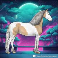 Horse Color:Silver Buckskin Splash Tobiano 