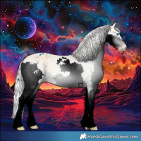 Horse Color:Gray Silver Amber Cream Champagne Dun Splash Appaloosa Rabicano 