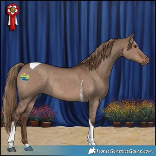 Horse Color:Liver Red Dun Tobiano Rabicano 
