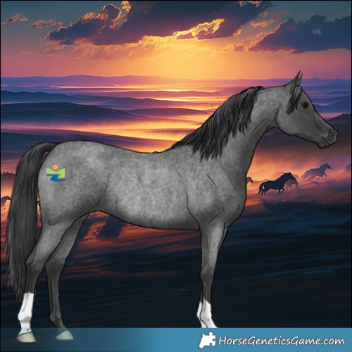 Horse Color:Blue Roan Rabicano 