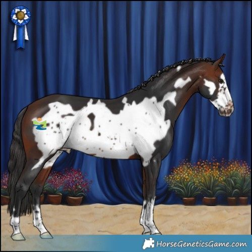 Horse Color:Bay Frame 