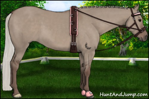 Horse Color:Silver Grullo