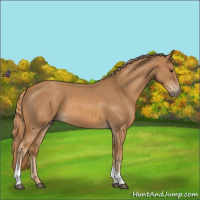 Horse Color:Red Roan Tobiano 