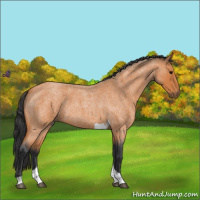 Horse Color:Bay Roan Tobiano 