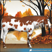 Horse Color:Silver Bay Splash