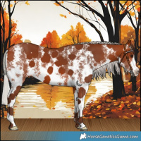 Horse Color:Silver Bay Sabino 
