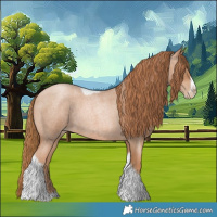 Horse Color:Red Roan Pearl Tobiano Frame 