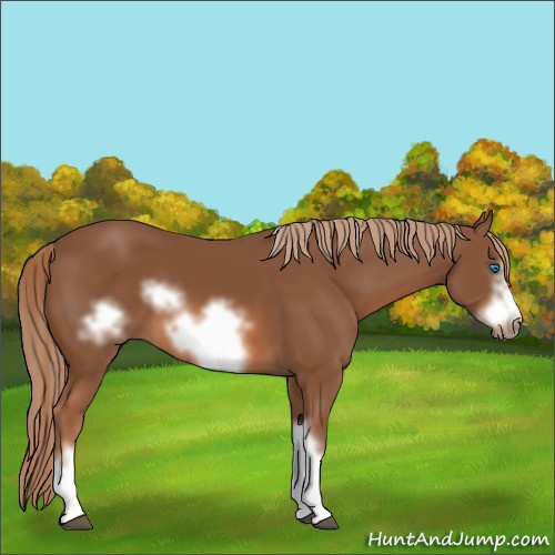 Horse Color:Chestnut Frame